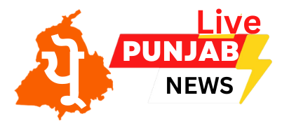 Pro Punjab Live